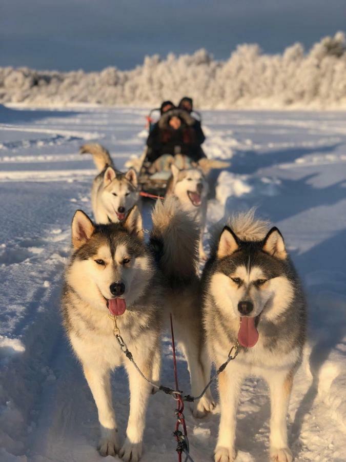 Arctic Home Рованиеми Экстерьер фото