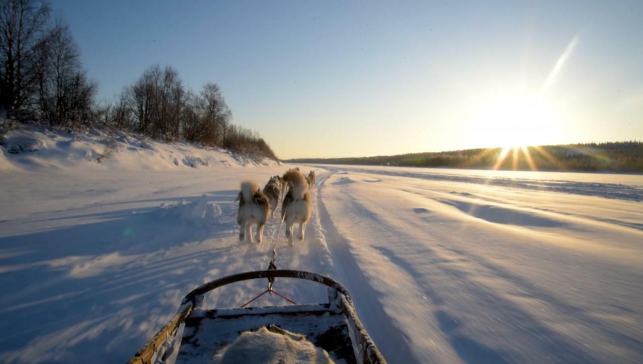 Arctic Home Рованиеми Экстерьер фото